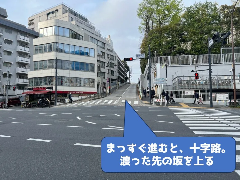 うさぎと衛の2ショットマンホールから、赤のセーラームーンマンホールへ。
まっすぐ進むと、十字路に出る。
渡った先の坂を上る。